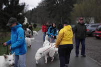 Begr&uuml;&szlig;ung